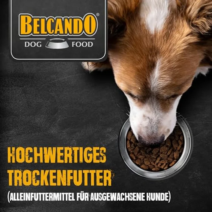 BELCANDO MASTERCRAFT Hundefutter trocken Fresh Beef, 10kg, 80% Frischfleisch, getreidefrei, für alle Rassen, Made in Germany – Bild 3