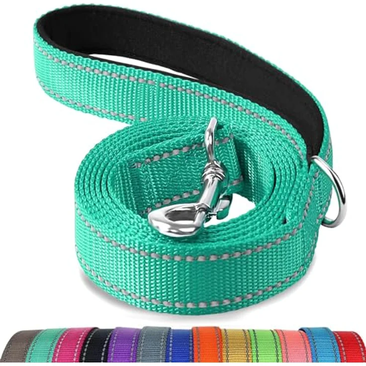 Joytale Hundeleine für kleine Hunde, 1,2m x 2cm, leicht, doppelseitig reflektierend, Nylon mit gepolstertem Griff, türkise Farbe – Bild 1
