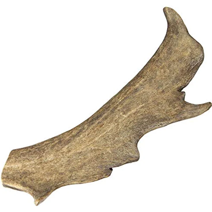 Schecker Spielknochen Damhirsch-Geweih für den Hund, Gr. XL = 125 - 160g, Packung (1-tlg), echtes, reines Naturprodukt – Bild 2