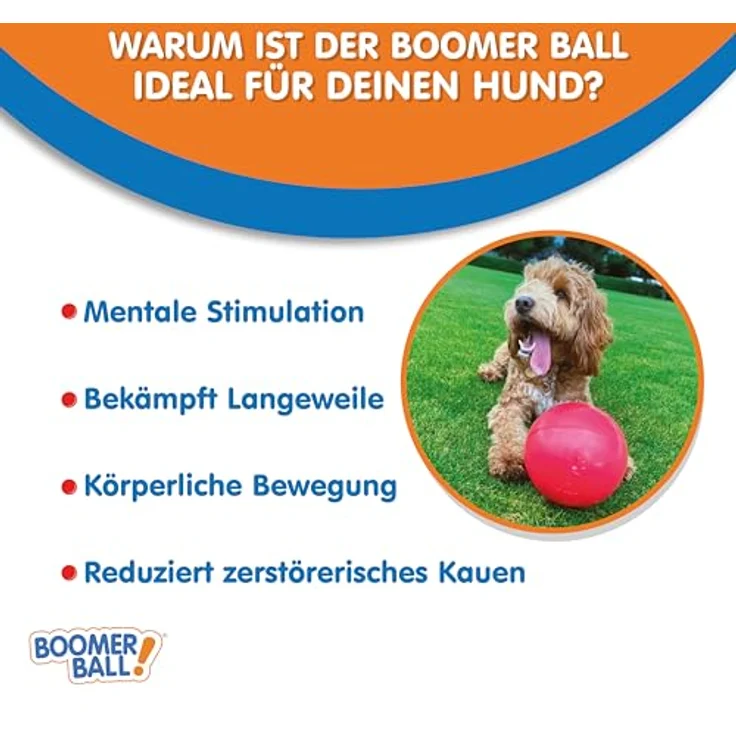 Company of Animals BOOMER BALL – Fast unzerstörbarer Hundeball, schwimmfähig, ideal für energiegeladene Hunde, Größe 20cm, Blau oder Rot – Bild 4