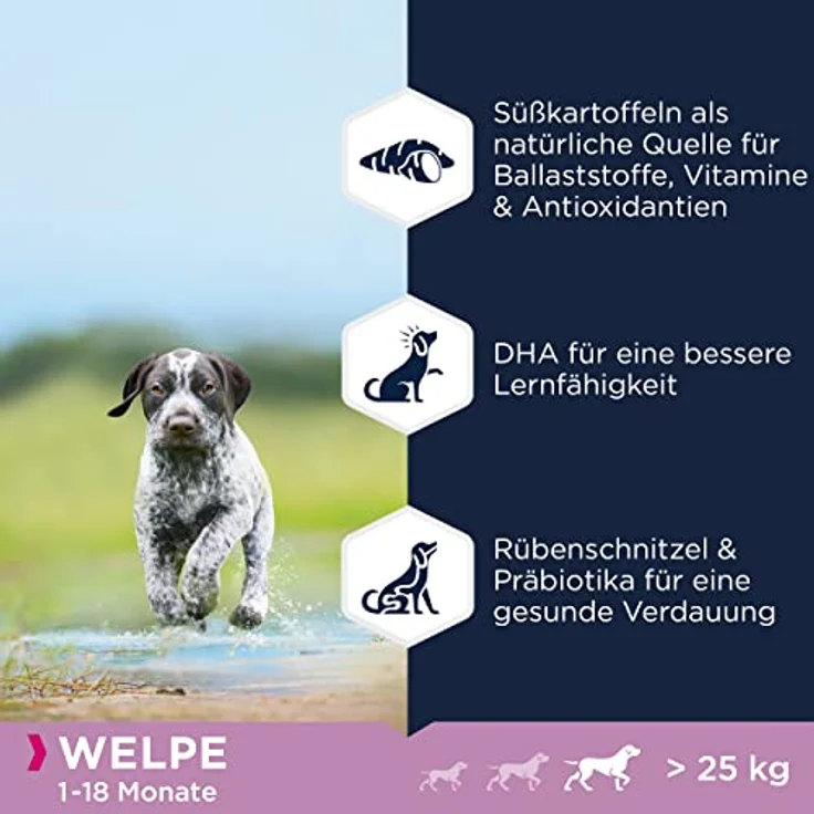 Eukanuba Welpenfutter getreidefrei mit Fisch für große Rassen, Trockenfutter für Junior Hunde, 3 kg, reich an Seefisch und Lachs, Förderung der Lernfähigkeit und gesunden Verdauung – Bild 4