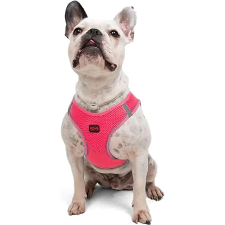 Tailpetz Air-Mesh Brustgeschirr für kleine und mittelgroße Katzen und Hunde – Weich, Atmungsaktiv, Strapazierfähig, Neonpink, L (Brustumfang 59–63,5 cm) – Bild 1