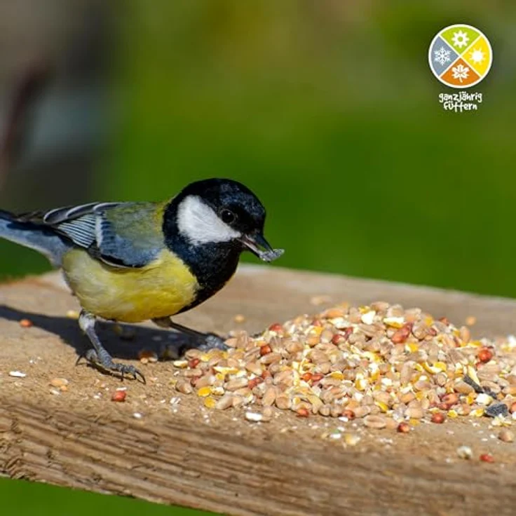 dobar® Wildvogelfutter 25 kg, Ganzjahresstreufutter für Vogelfutterhäuser und -säulen, hochwertige Mischung aus Getreide und Saaten – Bild 5