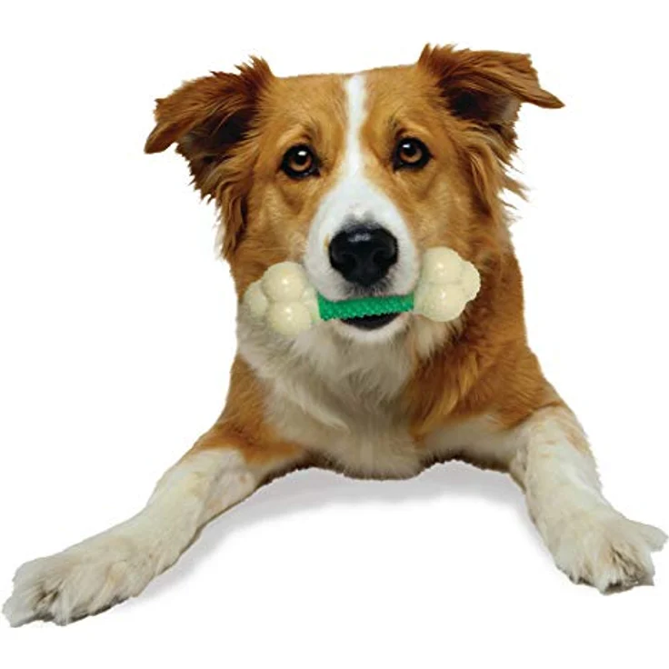 Nylabone Extreme Chew Double Action Chew Bacon, Kauspielzeug für Hunde, Größe M mit Zahnpflegefunktion – Bild 3