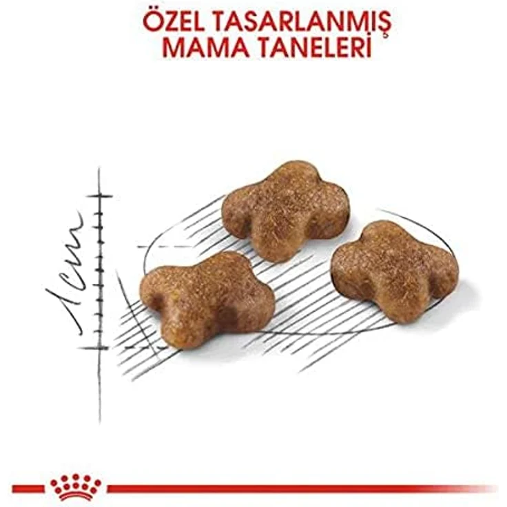 ROYAL CANIN Kitten, 10 kg Trockenfutter für Kätzchen mit hochverdaulichen L.I.P. Proteinen und Antioxidanzien zur Unterstützung von Wachstum und Immunität – Bild 2