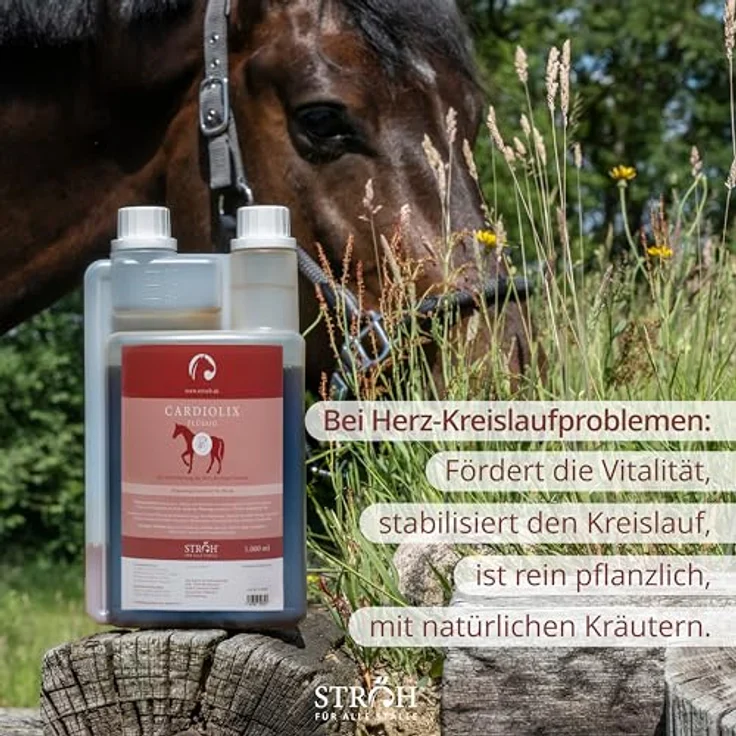 STRÖH CARDIOLIX (1l), Kräuter Elixier zur Herz-Kreislauf-Unterstützung für Pferde, mit Weißdorn & Rosmarin, ideal für ältere Pferde, zuckerfrei – Bild 4