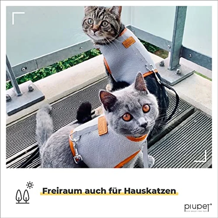 PiuPet Katzengeschirr und Leine (M), Ausbruchsicheres Geschirr für Kätzchen und kleine Hunde, 1,2 m, grau – Bild 2