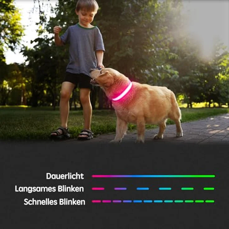 Kpuplol Leuchthalsband Hund, Wiederaufladbar LED Halsband mit 3 Modi, wasserdicht und einstellbare Größe, Schwarz – Bild 5