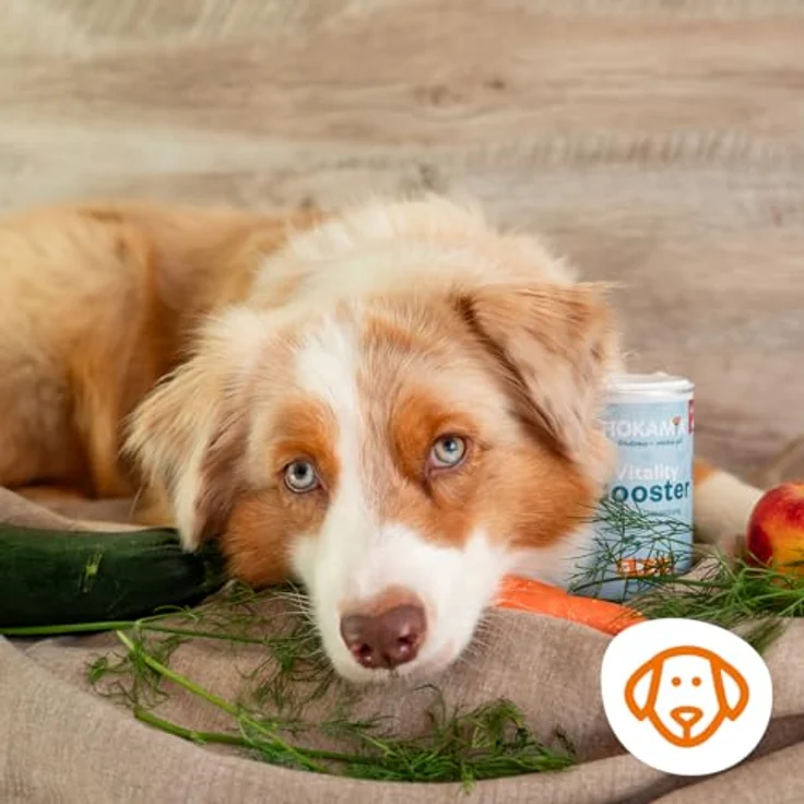GRAU Hokamix Vitality Booster Snack Maxi, Ergänzungsfuttermittel für Hunde mit 30 Kräutern, 1 x 4,5 kg – Bild 2