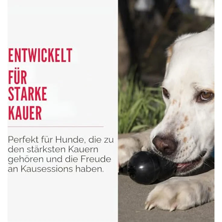 KONG Extreme Goodie Bone, Strapazierfähiges Hundespielzeug für Mittelgroße Hunde, Schwarz, Füllbar mit Leckerlis – Bild 3
