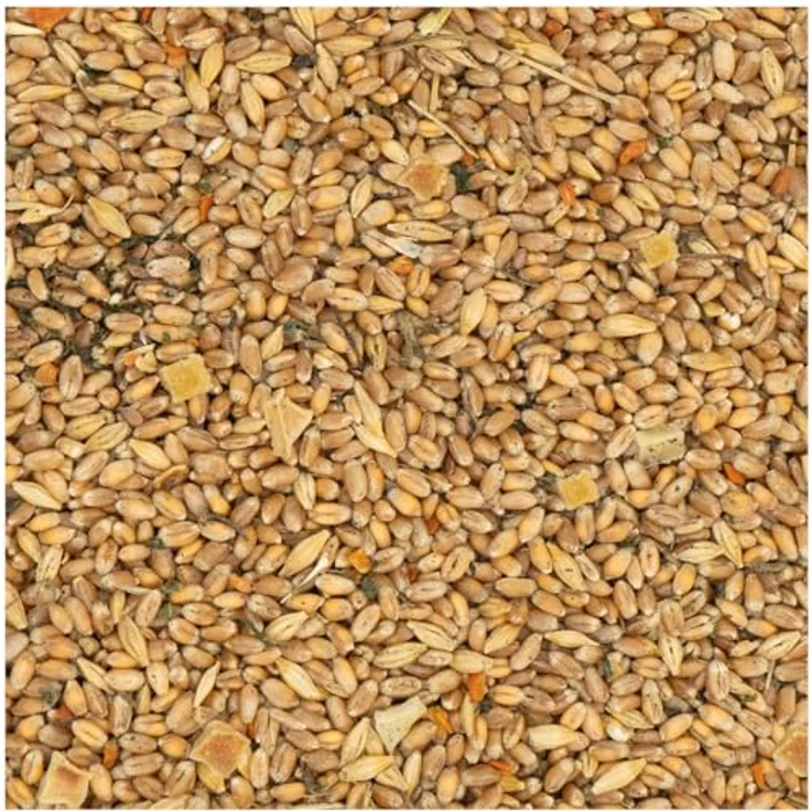 JR FARM Garden Hühner-Schmaus, 5 l Eimer (3,5 kg) - ausgewogene Alleinfuttermischung für gesunde Hühner, stärkt Eierschalen und Federkleid, gentechnikfrei, made in Germany – Bild 2
