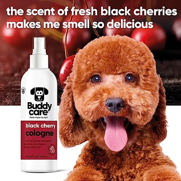 Buddycare Hund-Cologne Schwarzkirsche, fruchtiges Hundeparfüm mit Aloe und Pro-Vitamin B5, 200 ml – Bild 3