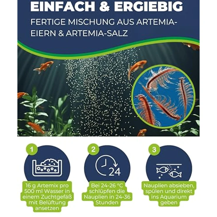 HOBBY Aquaristik Artemix, 195 g Fertigmischung aus Artemia-Eiern und Salz, sofort einsatzbereit zur Zucht von Artemia-Nauplien, ideales Aufzuchtfutter für Aquarienfische – Bild 3