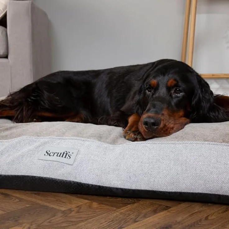Scruffs Harvard Memory Foam Orthopädische Hundematratze für Hunde mit Gelenkschmerzen (XL), wasserfest, grau – Bild 5