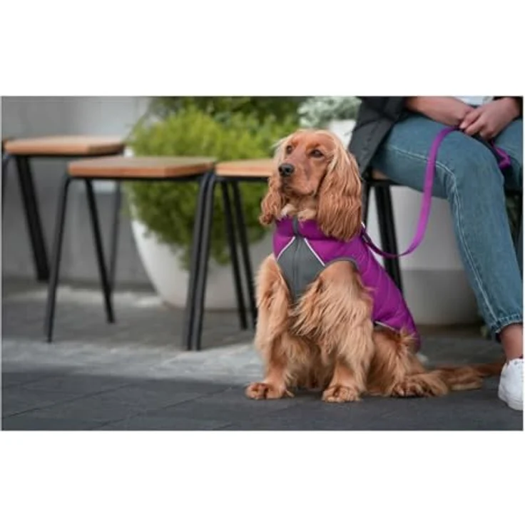 Red Dingo Wendbarer Puffer Mantel für Hunde, hochwertiges Material, ideal für kalte Tage – Bild 5