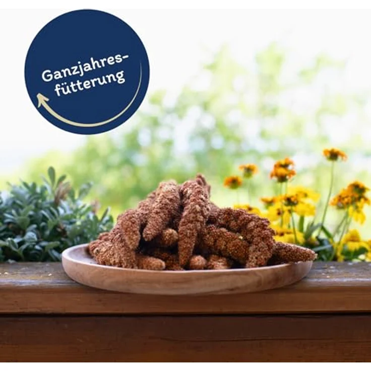 Lyra Pet® Kolbenhirse rot, 2 kg handverlesenes Vogelfutter für Sittiche & Kanarienvögel, natürliche Nährstoffquelle für Zier- und Wildvögel, ideal für das ganze Jahr – Bild 3