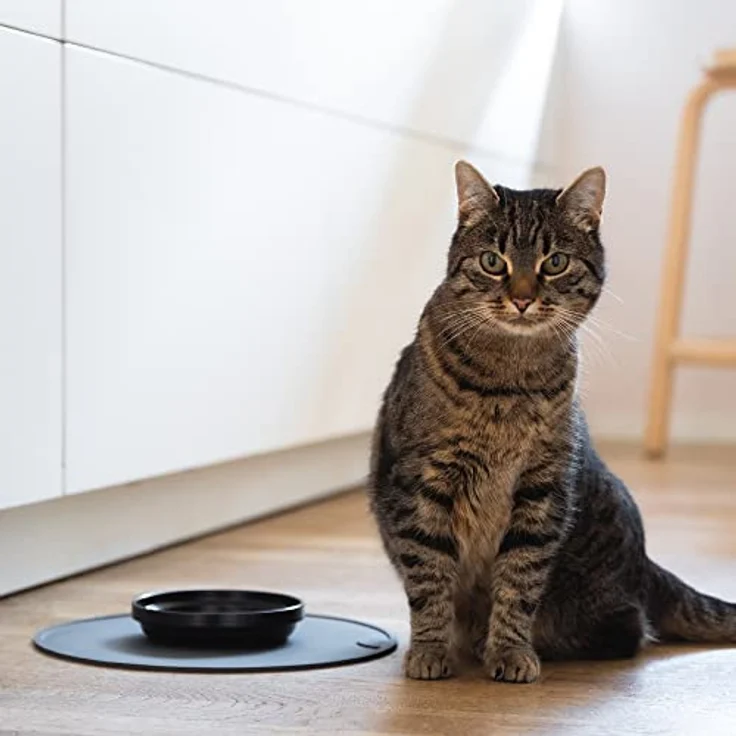 LucyBalu® Circle Silikon Napfunterlage, rutschfest mit erhöhtem Rand, Ø 29 cm, FDA-zertifiziert, spülmaschinenfest, in Flieder für Katzen & Hunde – Bild 4