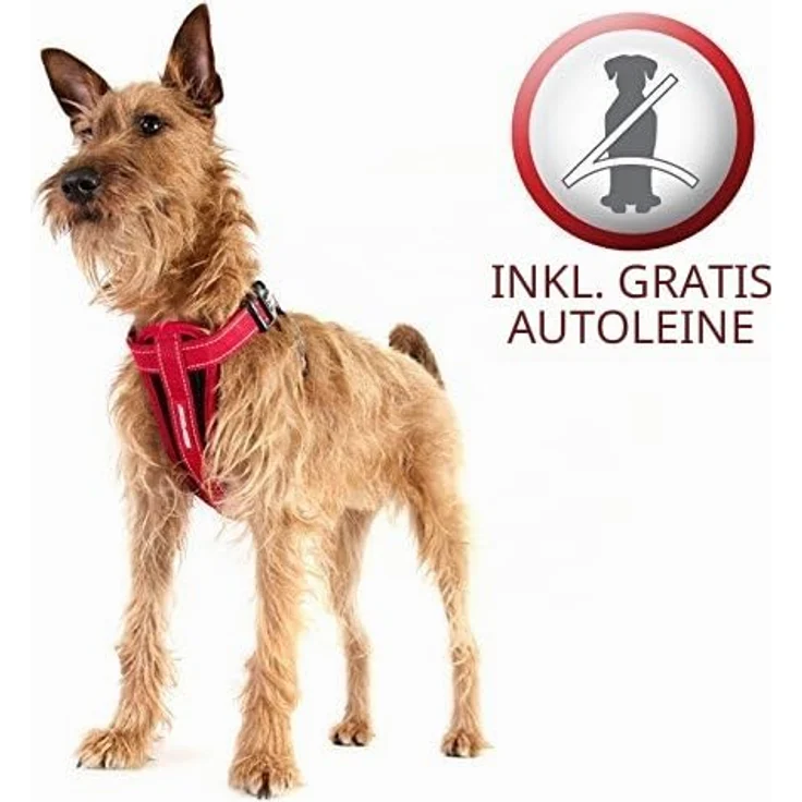 EzyDog Harness Neoprene Black, Ergonomisches Hundegeschirr für 3-6 Kg, Verstellbar, Walking/Car Harness – Bild 8