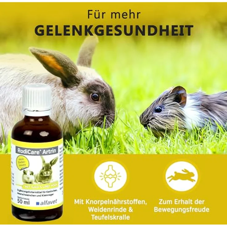 Alfavet RodiCare Artrin, Ergänzungsfuttermittel für Kaninchen, Meerschweinchen und Kleinnager mit Knorpelnährstoffen und Teufelskralle, 50 ml Glasflasche mit Dosierspritze – Bild 2