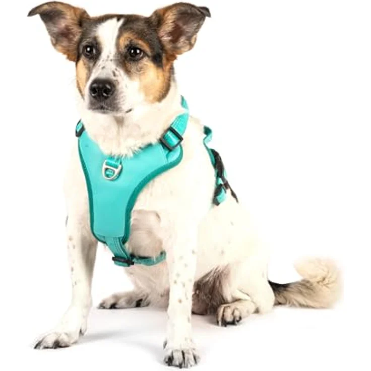 Max & Molly Sport Hundegeschirr, Matrix 2.0 Türkis/M, gepolstert, reflektierend & mit Gotcha! Smart ID Sicherheitsanhänger für mittelgroße Hunde – Bild 4