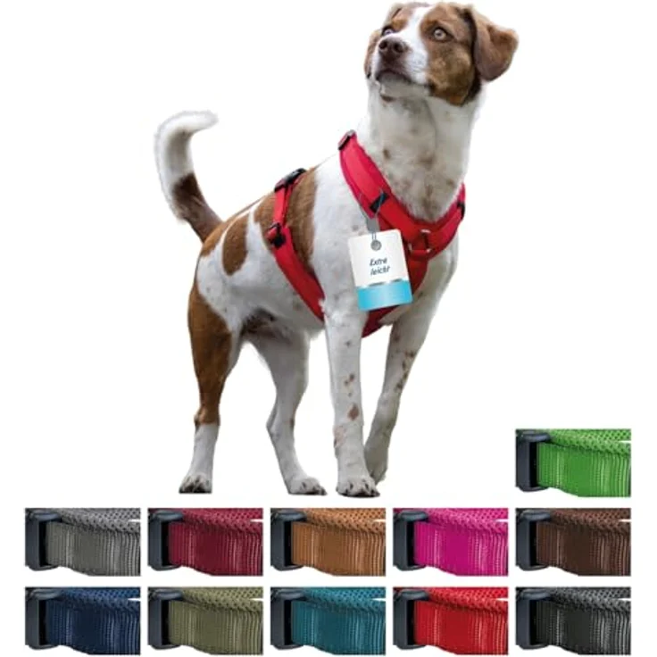 Petlando Hundegeschirr Y-Comfort, gepolstert, stufenlos verstellbar, atmungsaktiv für sehr kleine Hunde, Olive, Größe XS – Bild 4