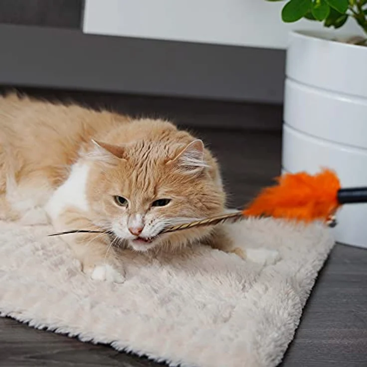 SCHLITZOHR Katzenspielzeug Birdy, Interaktiver Federstab für Katzen, 3er Pack mit natürlichen Federn – Bild 5
