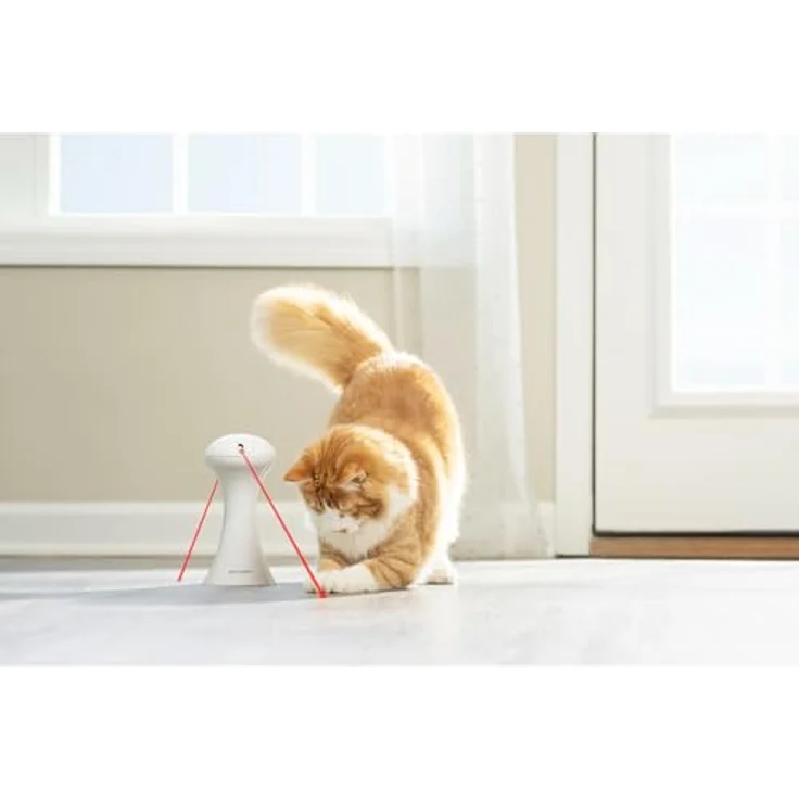 PetSafe Multi-Light Katzenspielzeug, Automatisches Lichtspielzeug zur aktiven Beschäftigung, 0,34 kg – Bild 5