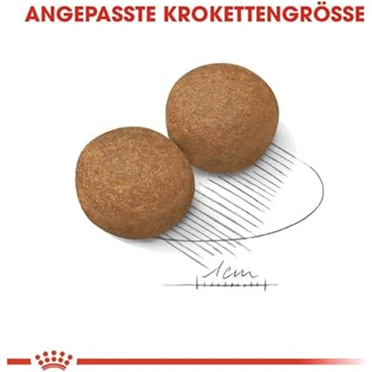 Royal Canin Size Health Nutrition Maxi Adult, Trockenfutter für große Hunde (26-44 kg), 4kg – Bild 4