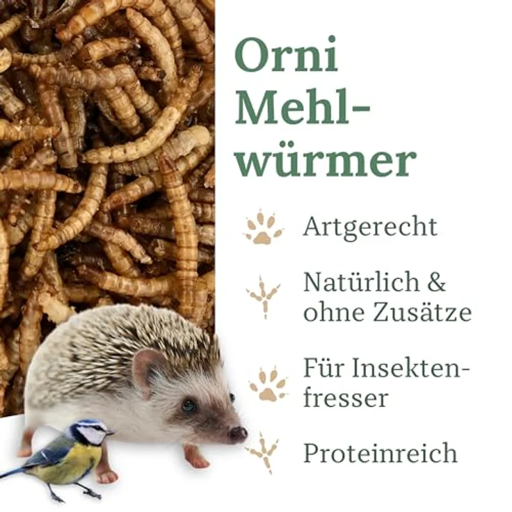 Orni Mehlwürmer getrocknet 500g, Premium Insektenfutter für Wildvögel, Igel, Fische & Eichhörnchen, 100% naturbelassen, ohne Zusatzstoffe – Bild 2
