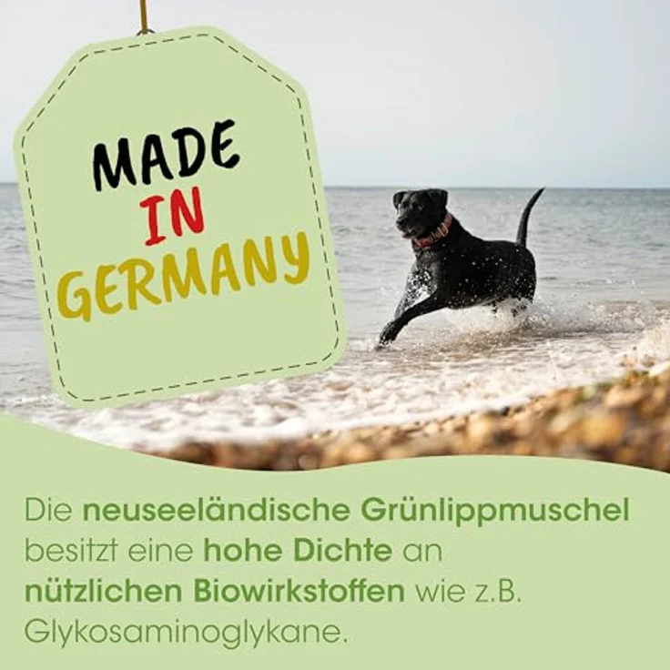 cdVet ArthroGreen Classic, Hundefutter mit 30% neuseeländischer grünlippiger Zuchtmuschel für gelenkempfindliche Hunde und Katzen, 345 g – Bild 4