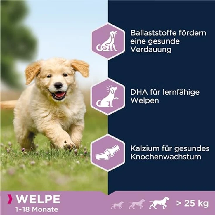 Eukanuba Welpenfutter mit Lamm & Reis, Trockenfutter für große Rassen, leicht verdaulich, 2,5 kg – Bild 4