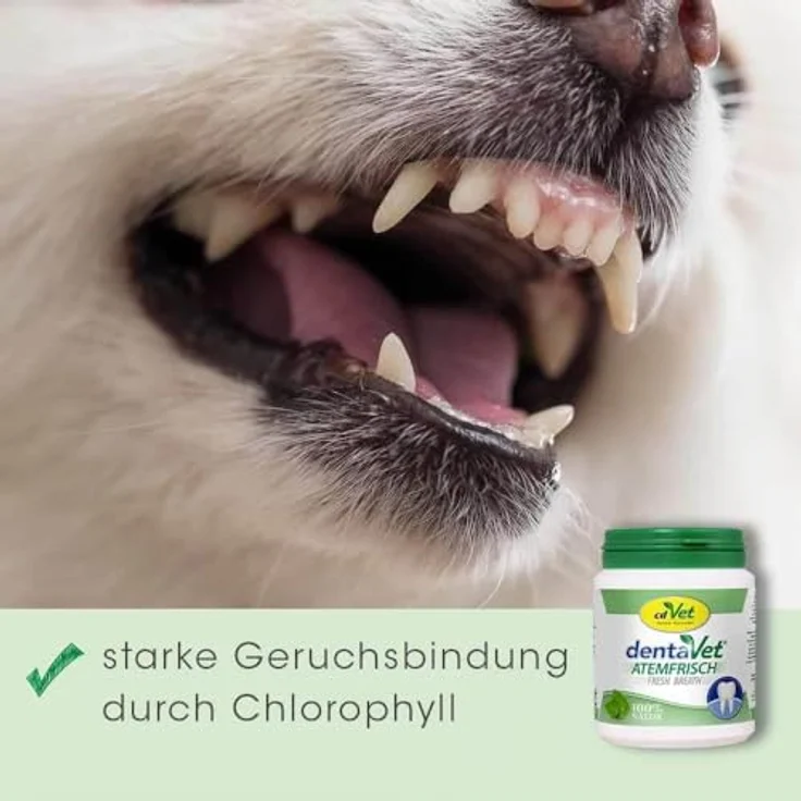 cdVet dentaVet Atemfrisch, Hundefutter-Pulver mit Chlorophyll zur Geruchsbindung, 100 g – Bild 5