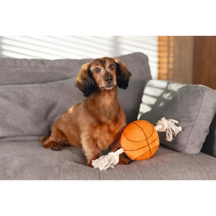 Beeztees Hundespielzeug Basketball mit Seil, weicher Plüschball und robuste Baumwollseile für Apportier- und Zerrspiele – Bild 3