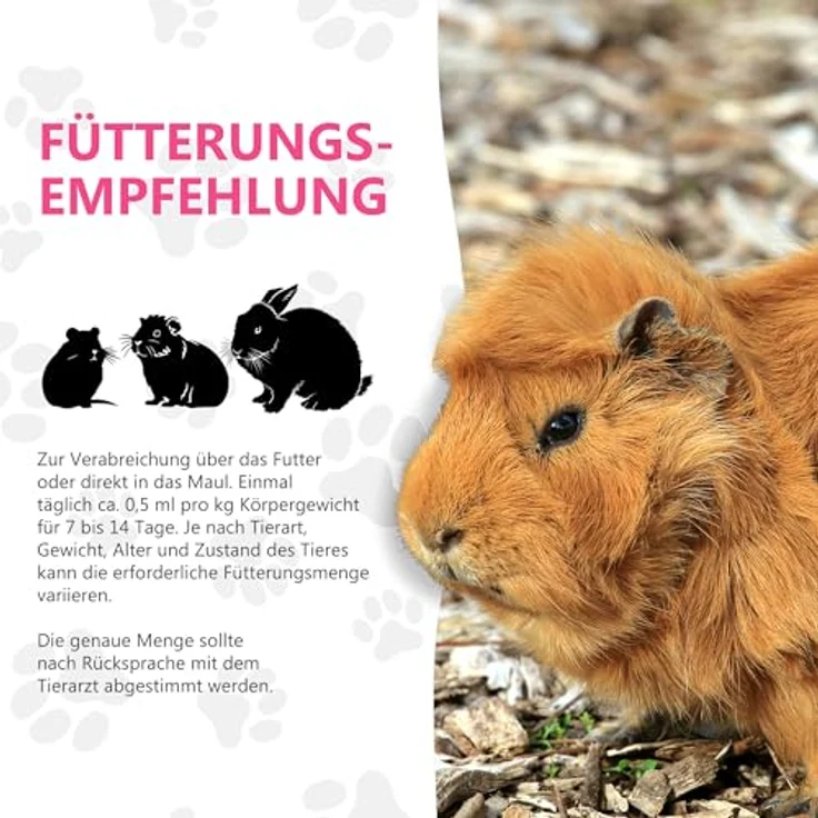 Alfavet RodiCare Vita B, B-Vitamine Ergänzungsfuttermittel für Kaninchen, Meerschweinchen und Kleinnager, 25ml mit Dosierspritze, hochkonzentriert und ohne Zuckerzusatz – Bild 5