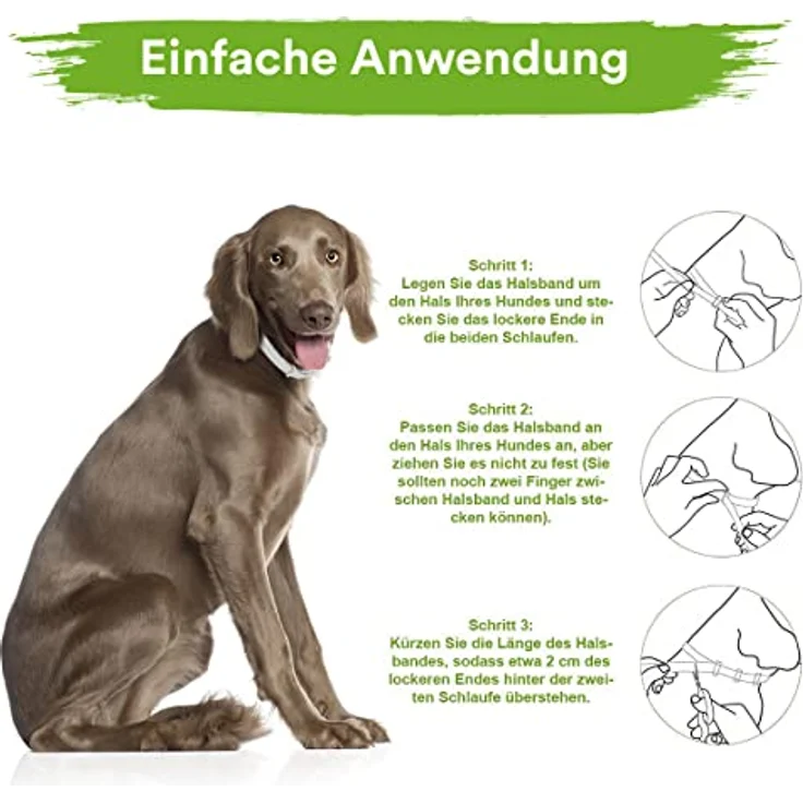 MC-Royal® Premium Zeckenhalsband für Hunde, wasserdicht und verstellbar, 70 cm, bis zu 8 Monate Zeckenschutz mit 100% natürlichen Inhaltsstoffen – Bild 4