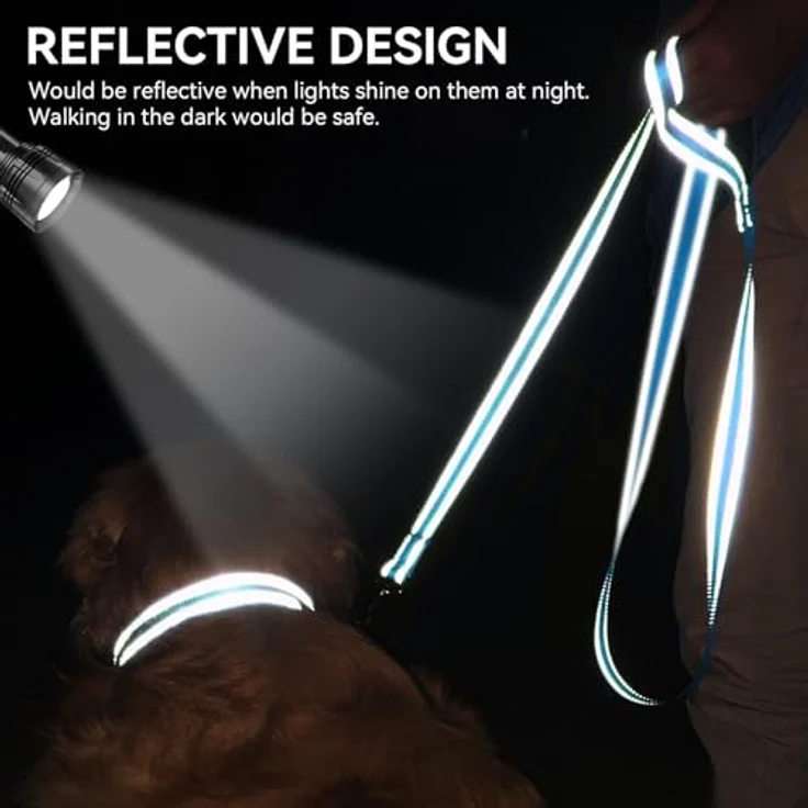 Joytale Hundeleine für Große und Mittelgroße Hunde, Doppelseitig Reflektierende Nylonleine mit Gepolstertem Griff, 1,2m x 2,5cm, Blau – Bild 4