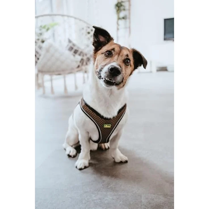 Hunter Hunde-Geschirr Hilo Comfort braun XXS-XS – Bild 7