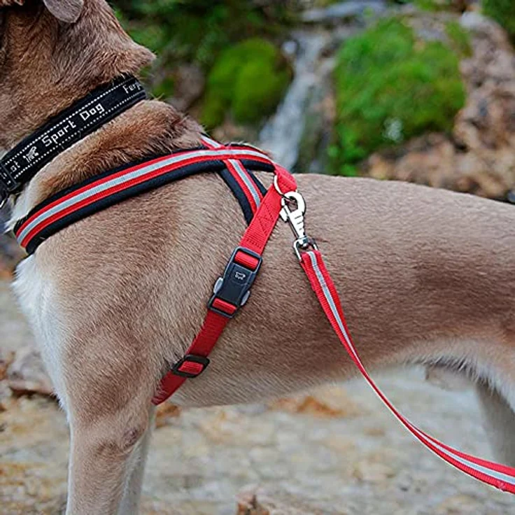 Ferplast Hundegeschirr Daytona Cross, verstellbares Nylon-Geschirr mit weicher Polsterung, reflektierenden Nähten und Magnetschnalle, schwarz – Bild 3