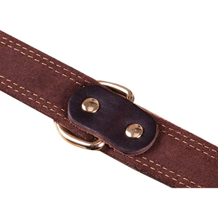 SLZZ Prämie Echtes Leder Hundehalsband, personalisierbar mit goldenem ID-Etikett, für kleine bis große Hunde (XS-XL) – Bild 5