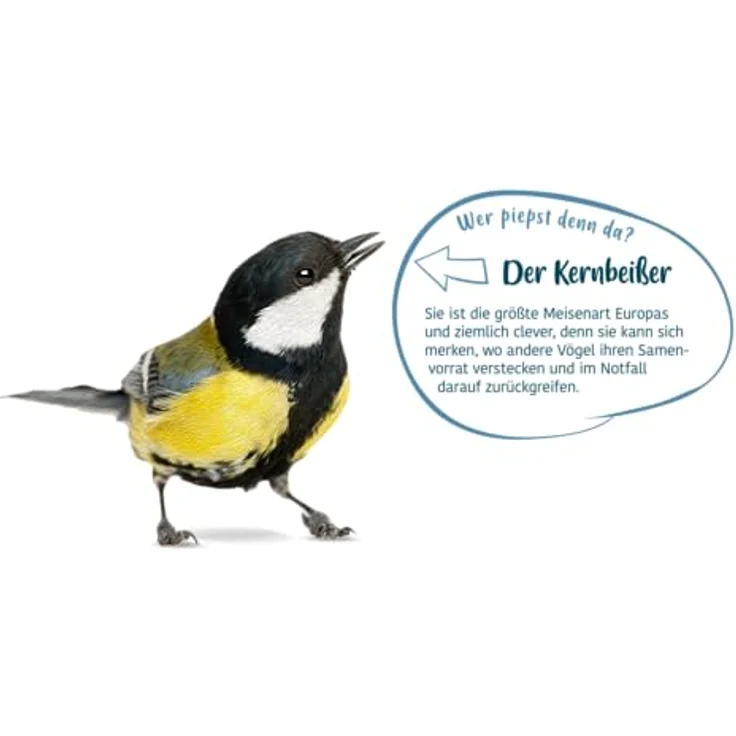 Elles Meisenfutter 2,5 kg, Energiereiches Ganzjahresfutter mit Sonnenblumenkernen, Erdnüssen & Hanfsaat, Ideal für Futterhäuschen & Bodenfütterung – Bild 4
