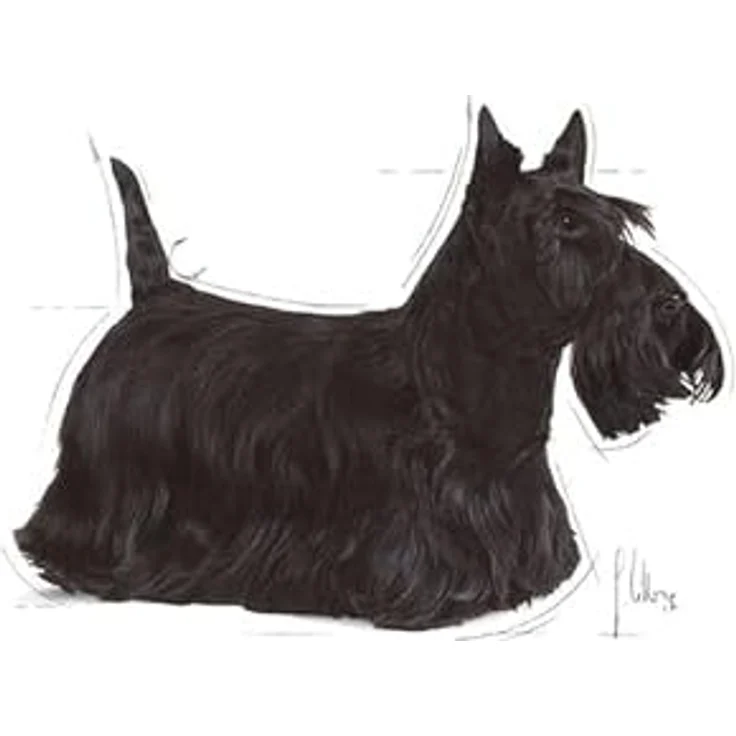 ROYAL CANIN DERMACOMFORT Nassfutter für Hunde, Unterstützung für empfindliche Haut, 12x85g – Bild 6