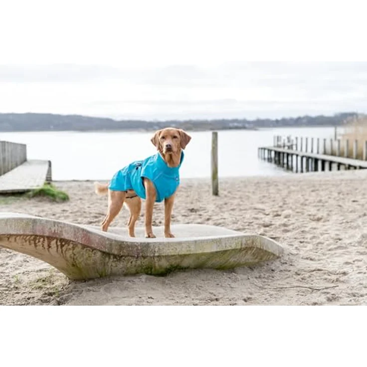 TRIXIE wasserdichter Hundemantel "Regenmantel Vimy, L: 55 cm, türkis" - 680206 – Bild 3