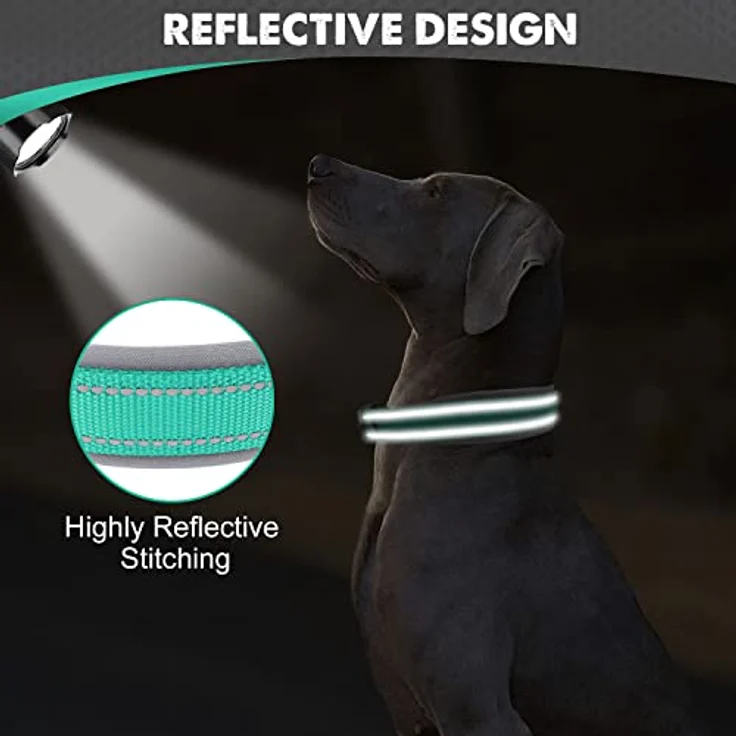 Joytale Gepolstertes Hundehalsband aus Neopren, Reflektierend und Robust für große Hunde, Türkis – Bild 4