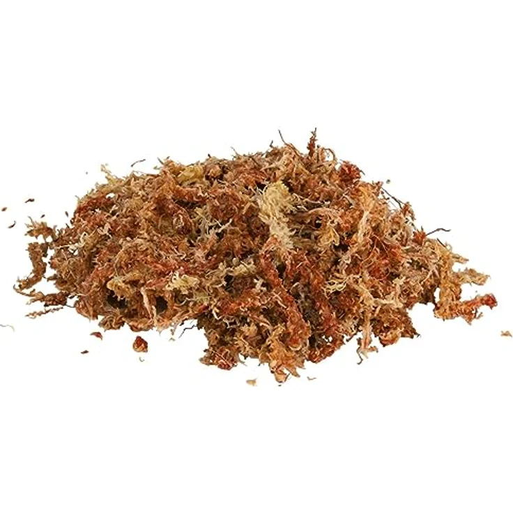 Trixie Reptiland Sphagnum Moos 100 g, Terrarien-Zubehör für hohe Luftfeuchtigkeit, ergibt 4,5 l – Bild 2