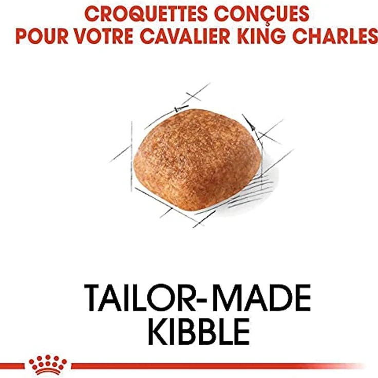 Royal Canin Cavalier King Charles 27 Adult, Trockenfutter für ausgewachsene Hunde, 7,5 kg – Bild 5