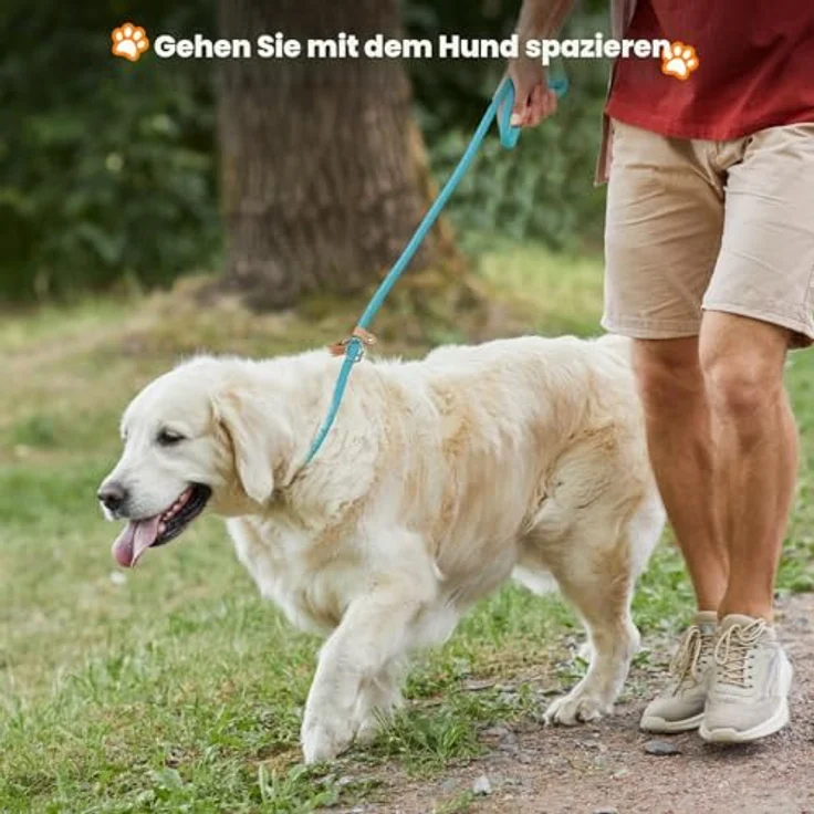 Grand Line Retrieverleine mit Zugstopp, 150 cm Moxonleine für kleine, mittlere und große Hunde, reflektierend, Grau-Grün, 6mm – Bild 3