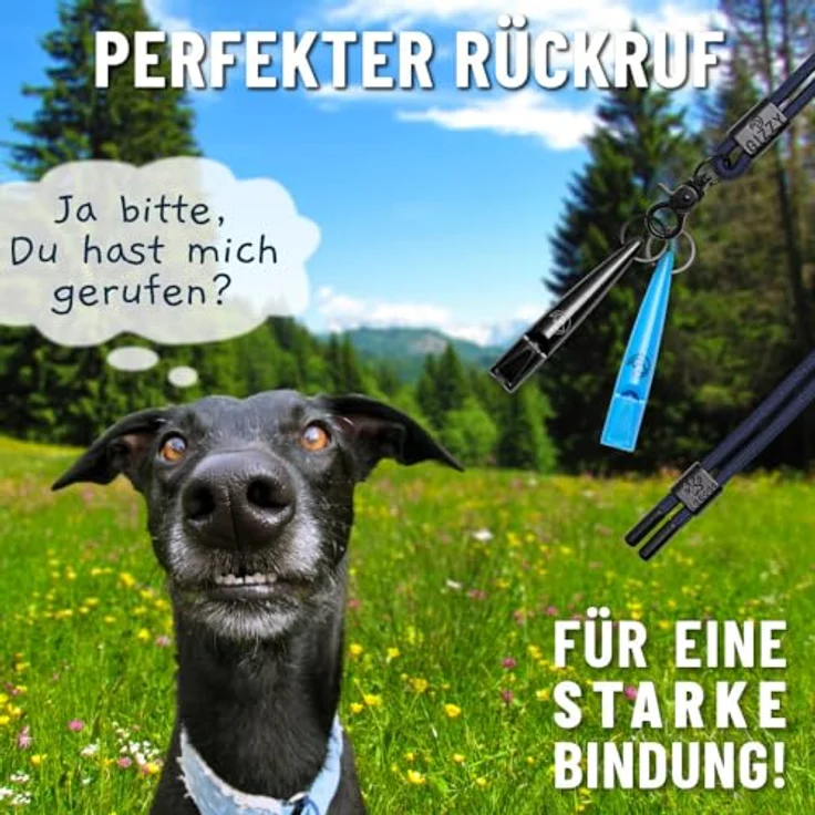 GIZZY® 2X Hundepfeife, lauter & weitreichender Pfeifton, ideal für Hundetraining und Rückruf, inkl. wertigem Band (blau) – Bild 2