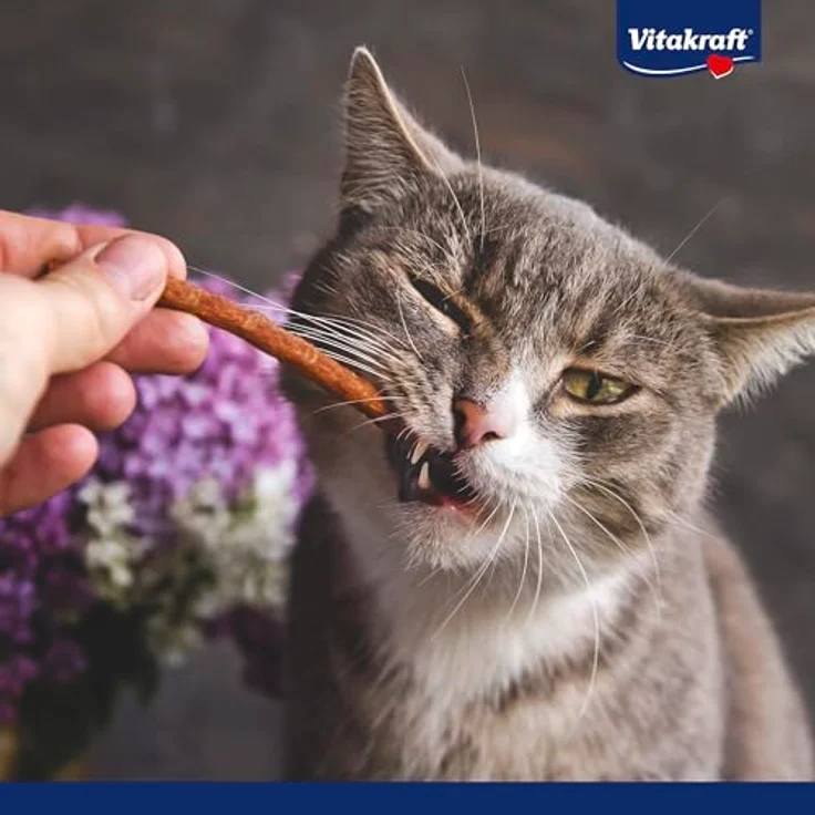 Vitakraft Pure Stick Huhn, Katzensnacks weizenfrei, 4x5g ohne Farbstoffe und künstliche Geschmacksverstärker – Bild 5