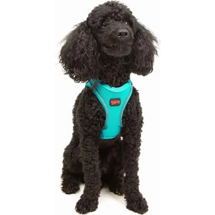 Tailpetz Air-Mesh Brustgeschirr für kleine und mittelgroße Katzen und Hunde – Atmungsaktiv, Strapazierfähig, Türkis, XS (Brustumfang 35,5–40,5 cm) – Bild 1