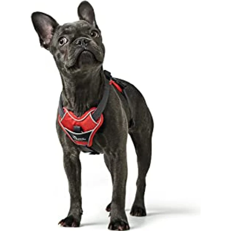 Hunter Hunde-Geschirr Divo rot-grau M – Bild 7